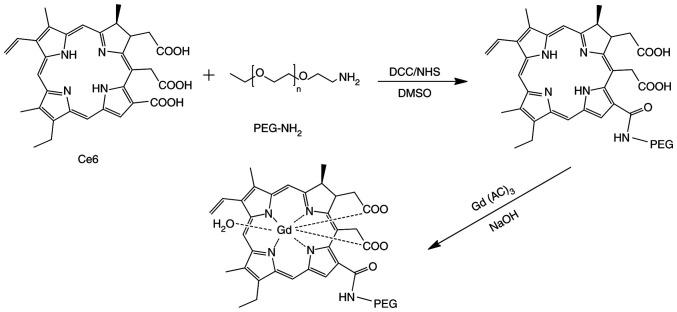 https://cdn.ncbi.nlm.nih.gov/pmc/blobs/02a8/7757081/8b6b4b4b739b/OR-45-02-0547-g01.jpg
