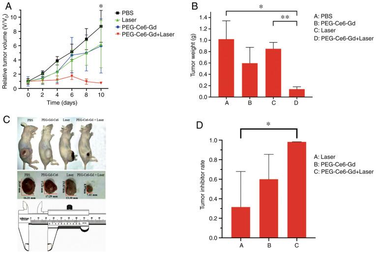 https://cdn.ncbi.nlm.nih.gov/pmc/blobs/02a8/7757081/efc6bfe914c2/OR-45-02-0547-g06.jpg