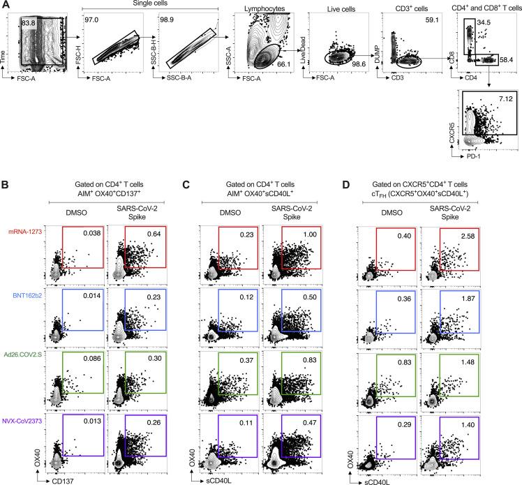 https://cdn.ncbi.nlm.nih.gov/pmc/blobs/02a8/9135677/84cf9aa4993e/figs2_lrg.jpg