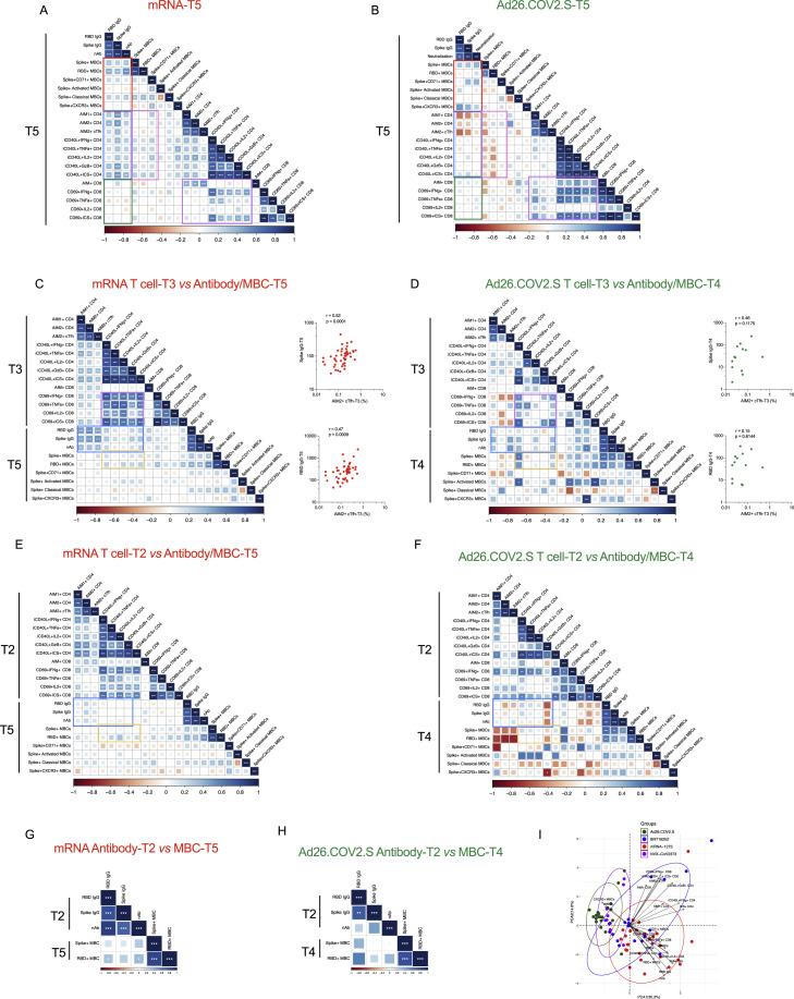 https://cdn.ncbi.nlm.nih.gov/pmc/blobs/02a8/9135677/ca923b9c1b22/figs7_lrg.jpg