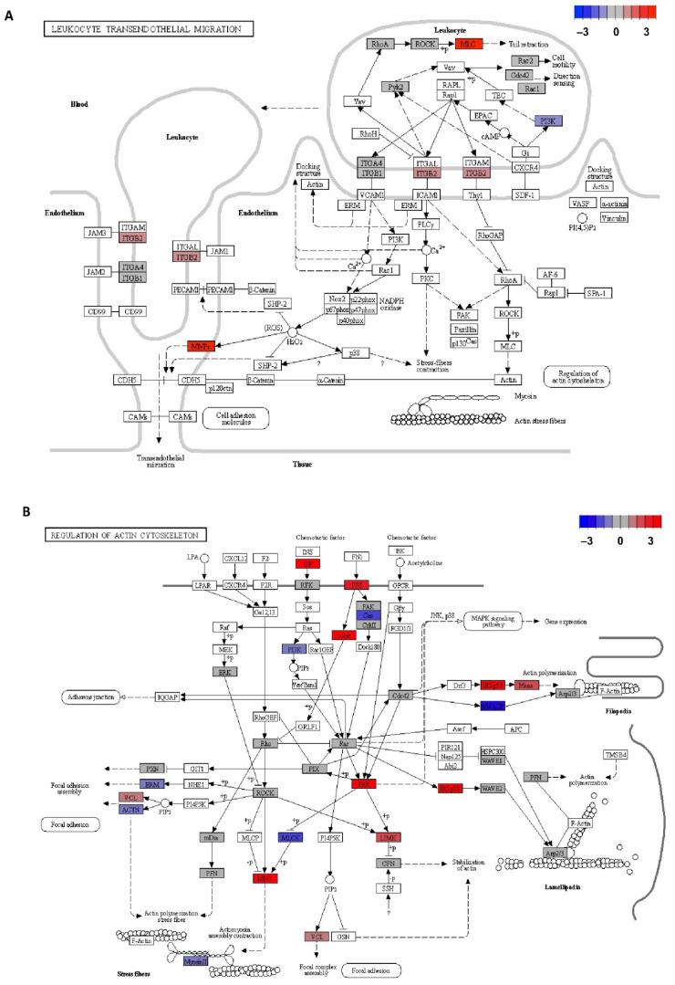 https://cdn.ncbi.nlm.nih.gov/pmc/blobs/02a9/8306508/00ac11d7242a/jpm-11-00594-g005.jpg