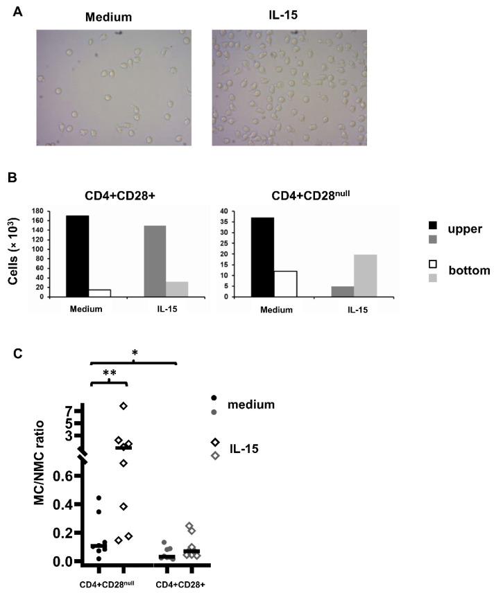 https://cdn.ncbi.nlm.nih.gov/pmc/blobs/02a9/8306508/51b1e4e52453/jpm-11-00594-g003.jpg