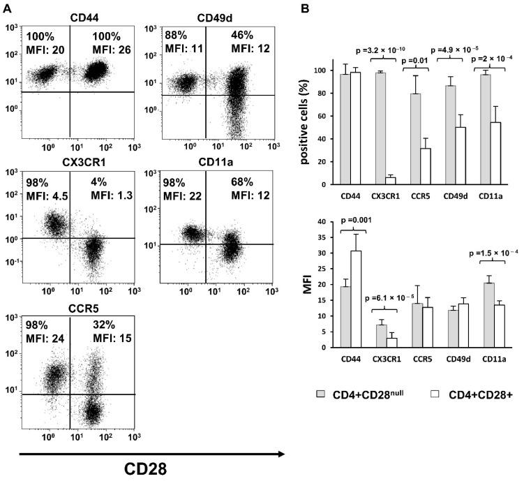 https://cdn.ncbi.nlm.nih.gov/pmc/blobs/02a9/8306508/e59bdac7926f/jpm-11-00594-g001.jpg