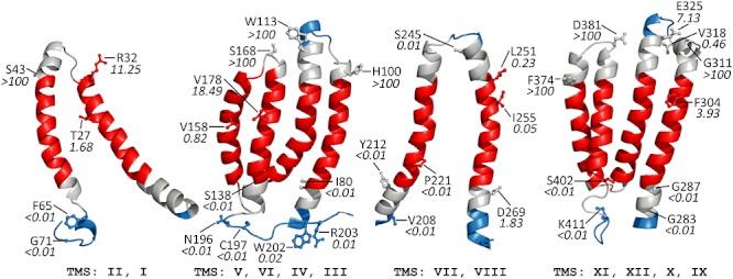 https://cdn.ncbi.nlm.nih.gov/pmc/blobs/02aa/3412221/954b8de28e16/mmi0084-1165-f4.jpg