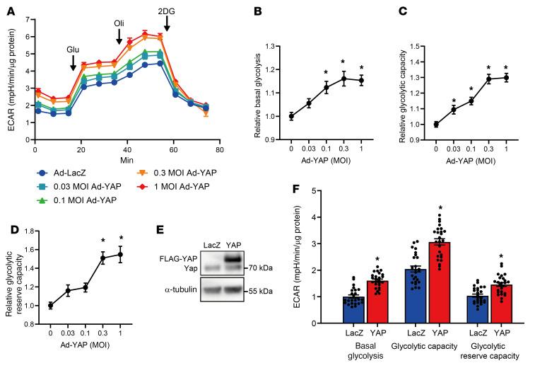 https://cdn.ncbi.nlm.nih.gov/pmc/blobs/02aa/8920343/f32daf6d7bdc/jci-132-150595-g027.jpg