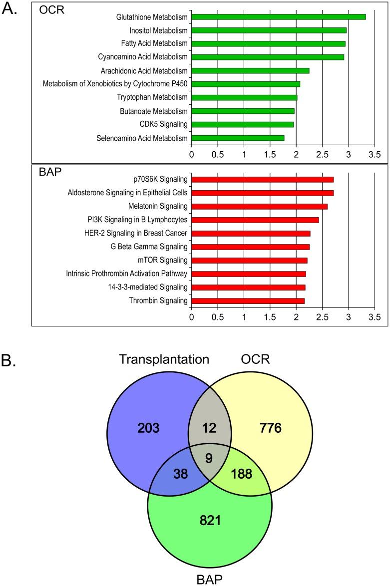 https://cdn.ncbi.nlm.nih.gov/pmc/blobs/02ad/5624587/0f87623ec680/pone.0185331.g004.jpg