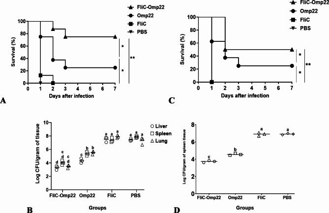 https://cdn.ncbi.nlm.nih.gov/pmc/blobs/02ae/11557591/b51444bc5aa4/41598_2024_79013_Fig6_HTML.jpg
