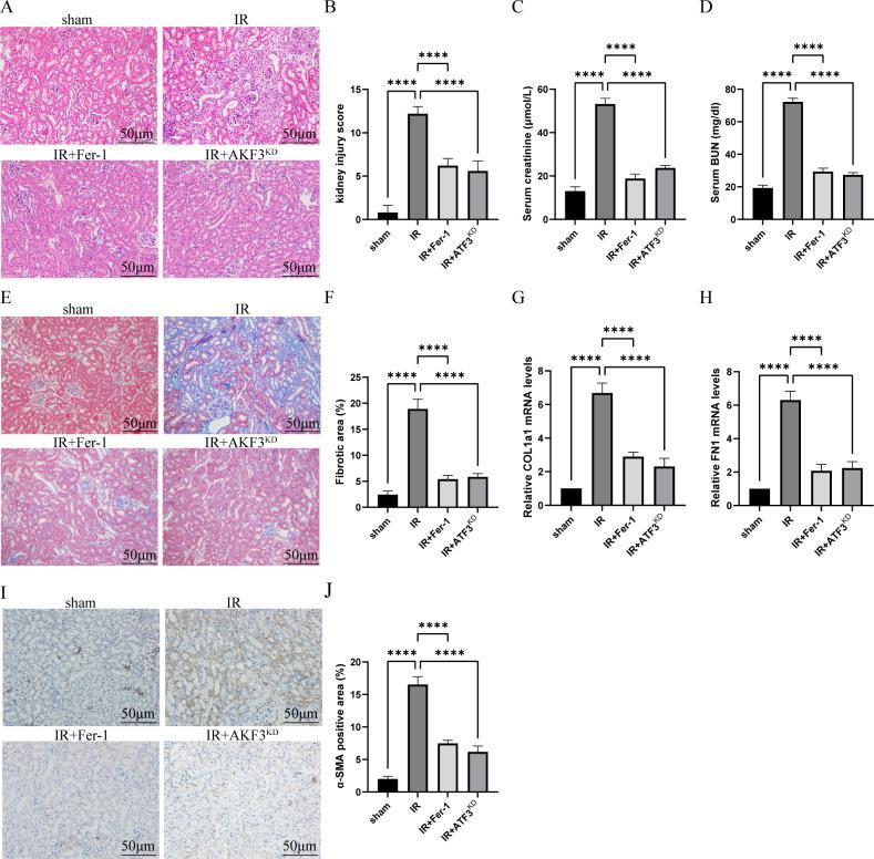 https://cdn.ncbi.nlm.nih.gov/pmc/blobs/02b0/11835872/e8476e19dd4c/fimmu-16-1510500-g001.jpg