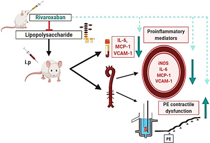 https://cdn.ncbi.nlm.nih.gov/pmc/blobs/02b0/7728205/c0a9ca8fc2a2/pone.0240669.g005.jpg