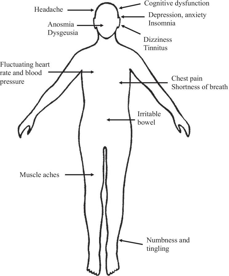 https://cdn.ncbi.nlm.nih.gov/pmc/blobs/02b0/9606200/2c843ad51487/13311_2022_1267_Fig2_HTML.jpg