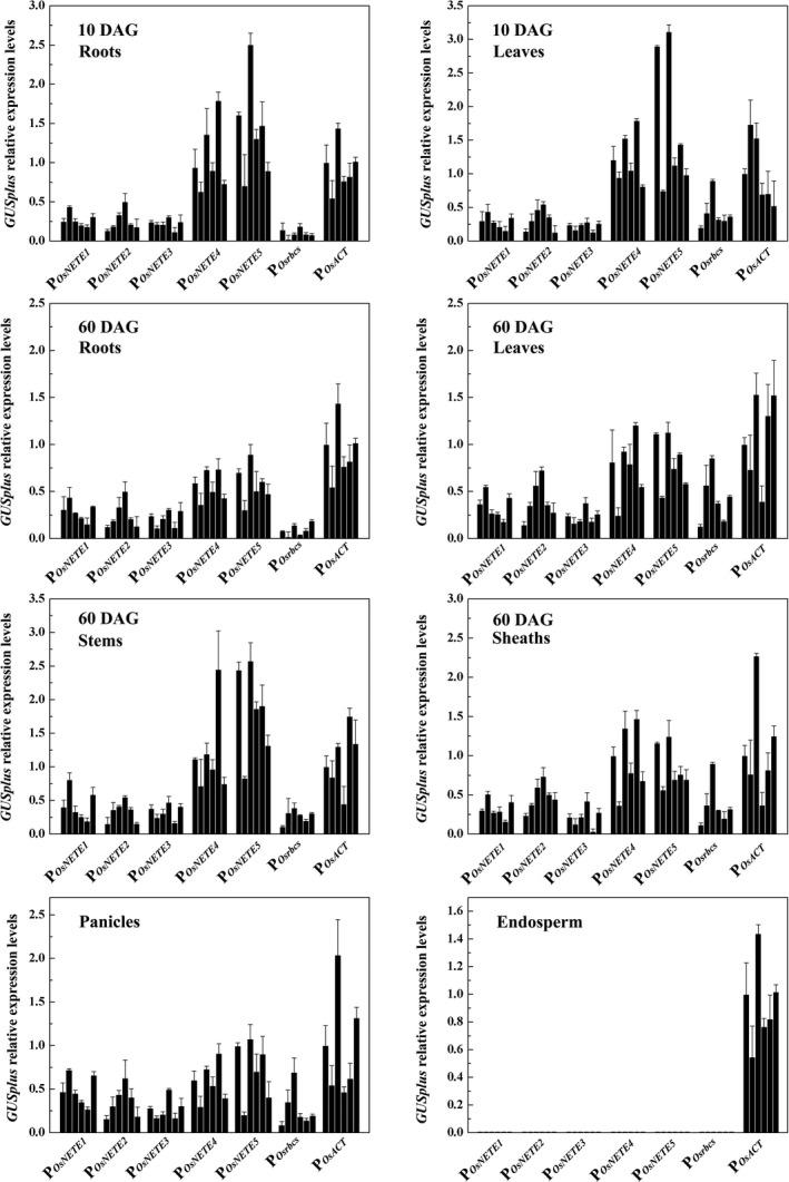 https://cdn.ncbi.nlm.nih.gov/pmc/blobs/02b2/11388522/2cf1b374b23c/PBI-16-1138-g001.jpg