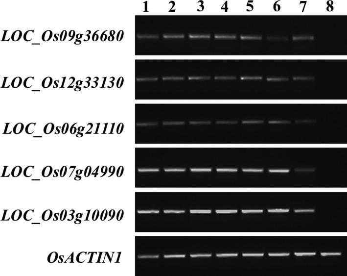 https://cdn.ncbi.nlm.nih.gov/pmc/blobs/02b2/11388522/a301591a5433/PBI-16-1138-g004.jpg