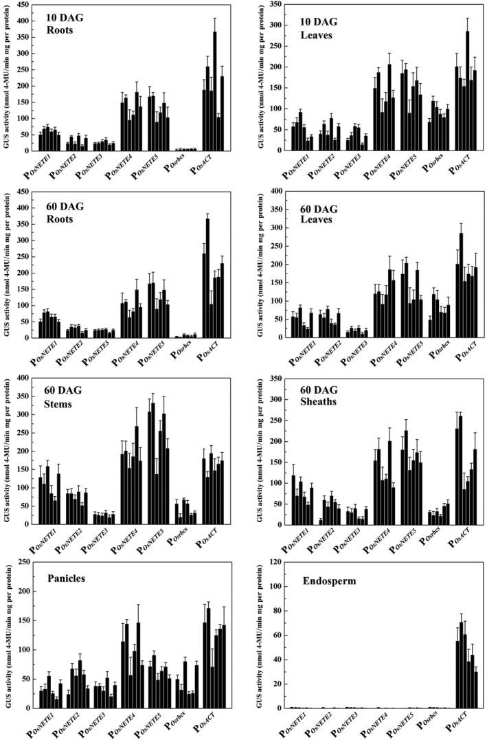 https://cdn.ncbi.nlm.nih.gov/pmc/blobs/02b2/11388522/ae4471b1e01b/PBI-16-1138-g005.jpg