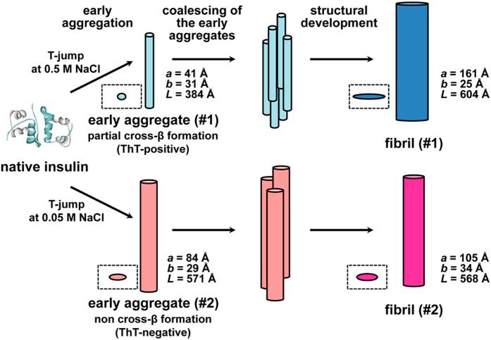 https://cdn.ncbi.nlm.nih.gov/pmc/blobs/02b3/4621412/7d47ee7c4f49/srep15485-f7.jpg