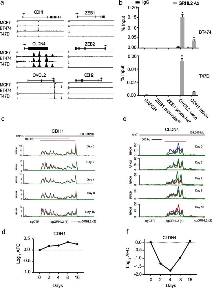 https://cdn.ncbi.nlm.nih.gov/pmc/blobs/02b3/9869538/05b9ed68d325/12964_2022_1029_Fig6_HTML.jpg