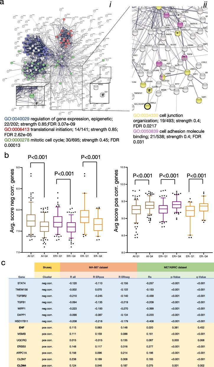 https://cdn.ncbi.nlm.nih.gov/pmc/blobs/02b3/9869538/9a13cbd4d122/12964_2022_1029_Fig7_HTML.jpg