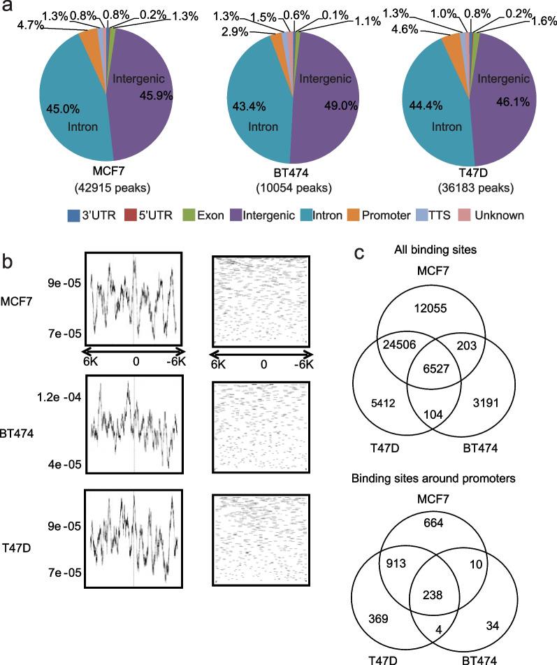 https://cdn.ncbi.nlm.nih.gov/pmc/blobs/02b3/9869538/e583a83e2de8/12964_2022_1029_Fig1_HTML.jpg