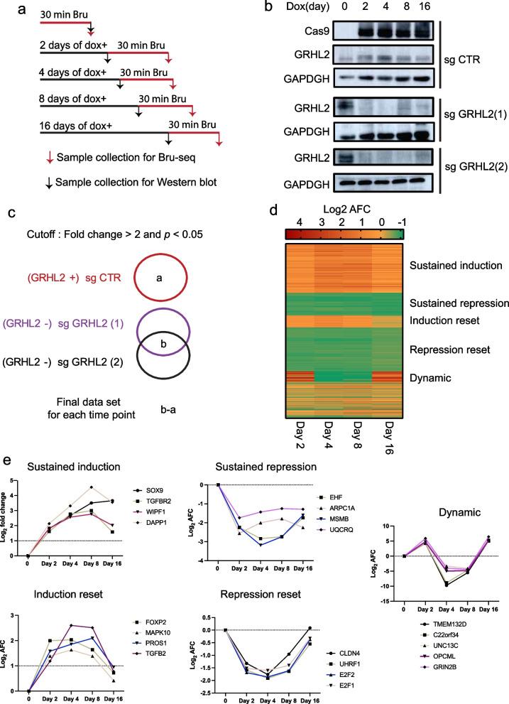 https://cdn.ncbi.nlm.nih.gov/pmc/blobs/02b3/9869538/e6054c841e16/12964_2022_1029_Fig3_HTML.jpg