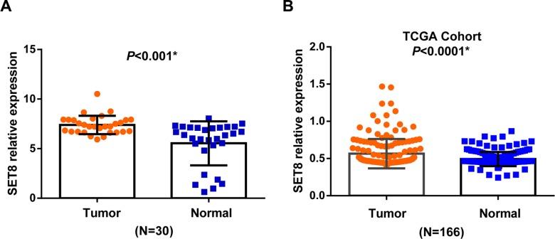 https://cdn.ncbi.nlm.nih.gov/pmc/blobs/02b6/5085155/060bb5fe0d40/oncotarget-07-34277-g002.jpg