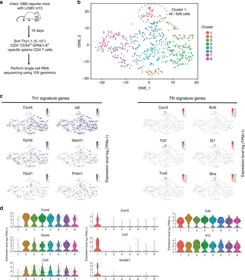 https://cdn.ncbi.nlm.nih.gov/pmc/blobs/02b7/6261948/c19a764e5e87/41467_2018_7492_Fig1_HTML.jpg