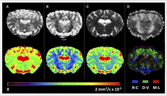https://cdn.ncbi.nlm.nih.gov/pmc/blobs/02b8/6805705/9f0e75531698/fvets-06-00345-g0001.jpg