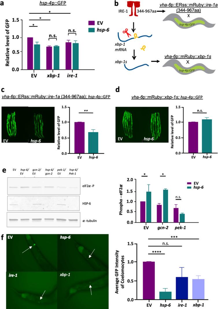 https://cdn.ncbi.nlm.nih.gov/pmc/blobs/02bb/12088515/fe036b2d5d4f/pgen.1011700.g003.jpg