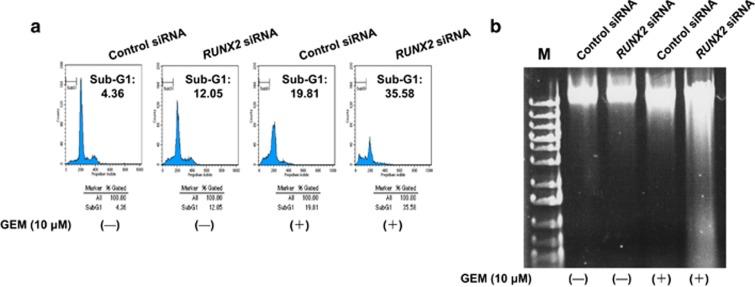 https://cdn.ncbi.nlm.nih.gov/pmc/blobs/02bb/4945741/866fddc0b2fe/oncsis201640f4.jpg