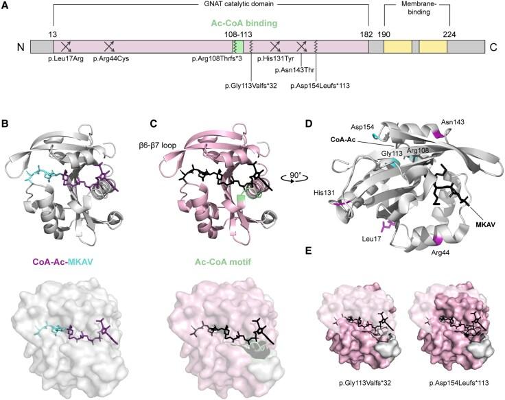 https://cdn.ncbi.nlm.nih.gov/pmc/blobs/02c0/12404772/888cd50598d5/awaf175f2.jpg