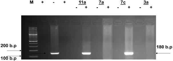 https://cdn.ncbi.nlm.nih.gov/pmc/blobs/02c0/5427694/fdb81766b790/TOMCJ-11-38_F1.jpg