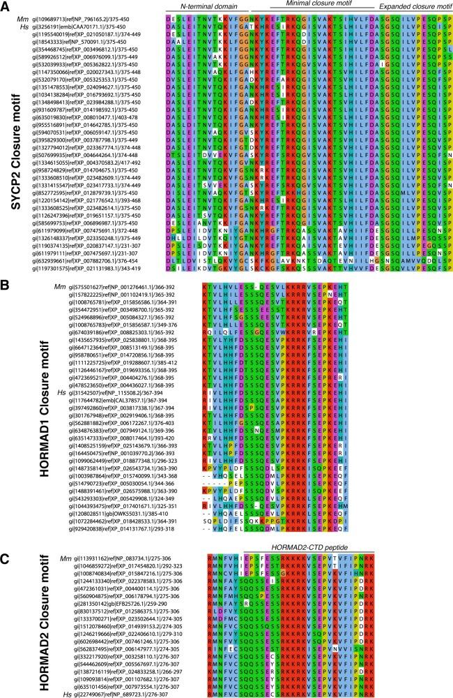 https://cdn.ncbi.nlm.nih.gov/pmc/blobs/02c0/6349405/49df757826d6/elife-40372-fig2-figsupp3.jpg
