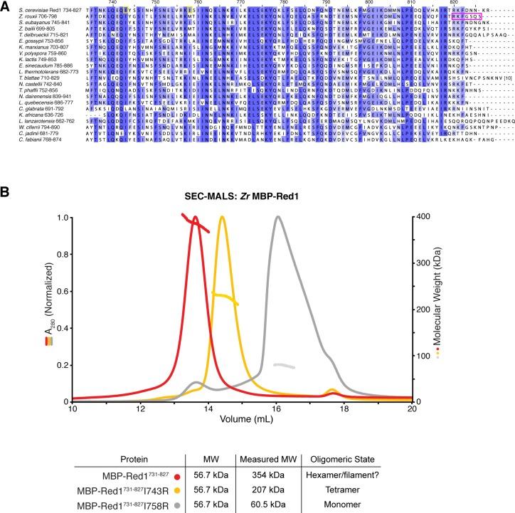 https://cdn.ncbi.nlm.nih.gov/pmc/blobs/02c0/6349405/8e4a532e3182/elife-40372-fig1-figsupp1.jpg