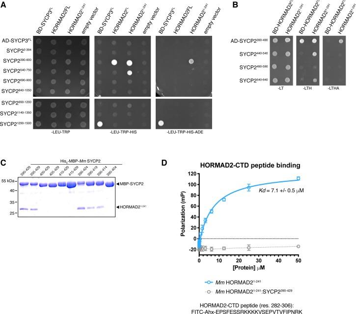 https://cdn.ncbi.nlm.nih.gov/pmc/blobs/02c0/6349405/a2bdae3d0025/elife-40372-fig2-figsupp2.jpg
