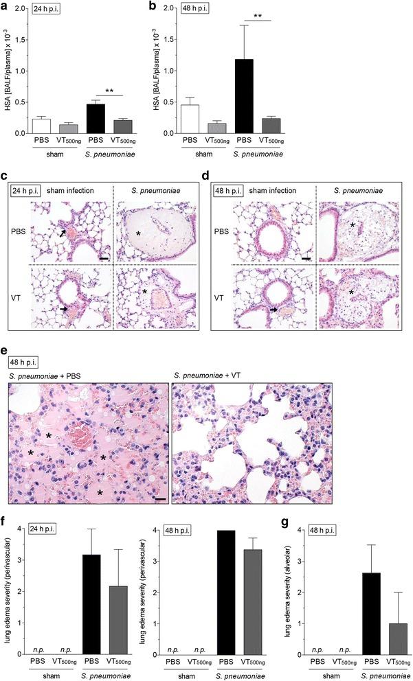 https://cdn.ncbi.nlm.nih.gov/pmc/blobs/02c1/5683375/1557bfd7d81d/13054_2017_1851_Fig4_HTML.jpg