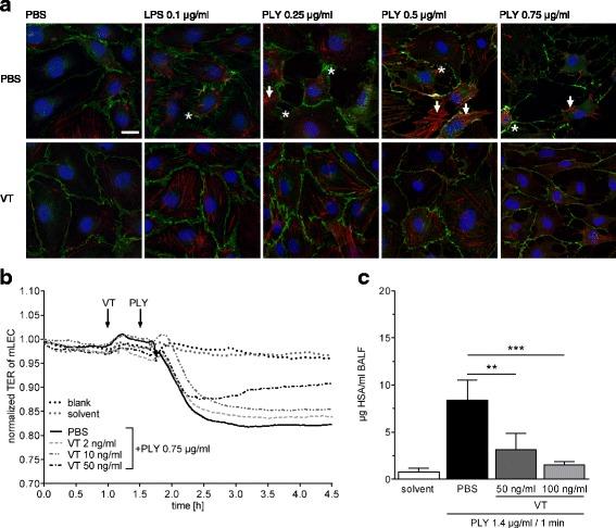 https://cdn.ncbi.nlm.nih.gov/pmc/blobs/02c1/5683375/953f70e126c8/13054_2017_1851_Fig2_HTML.jpg