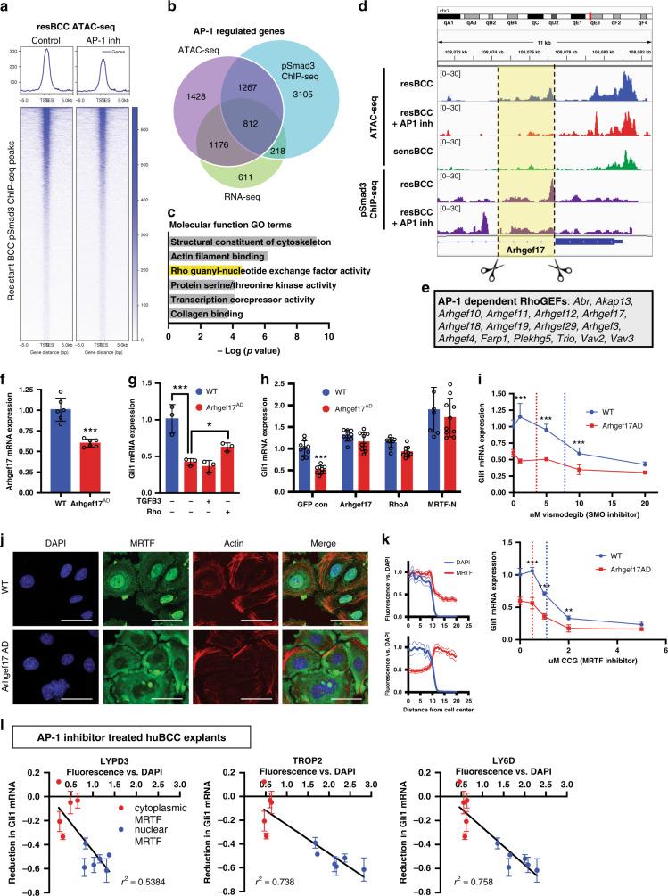 https://cdn.ncbi.nlm.nih.gov/pmc/blobs/02c2/7546632/6c5bac2d2c2b/41467_2020_18762_Fig6_HTML.jpg