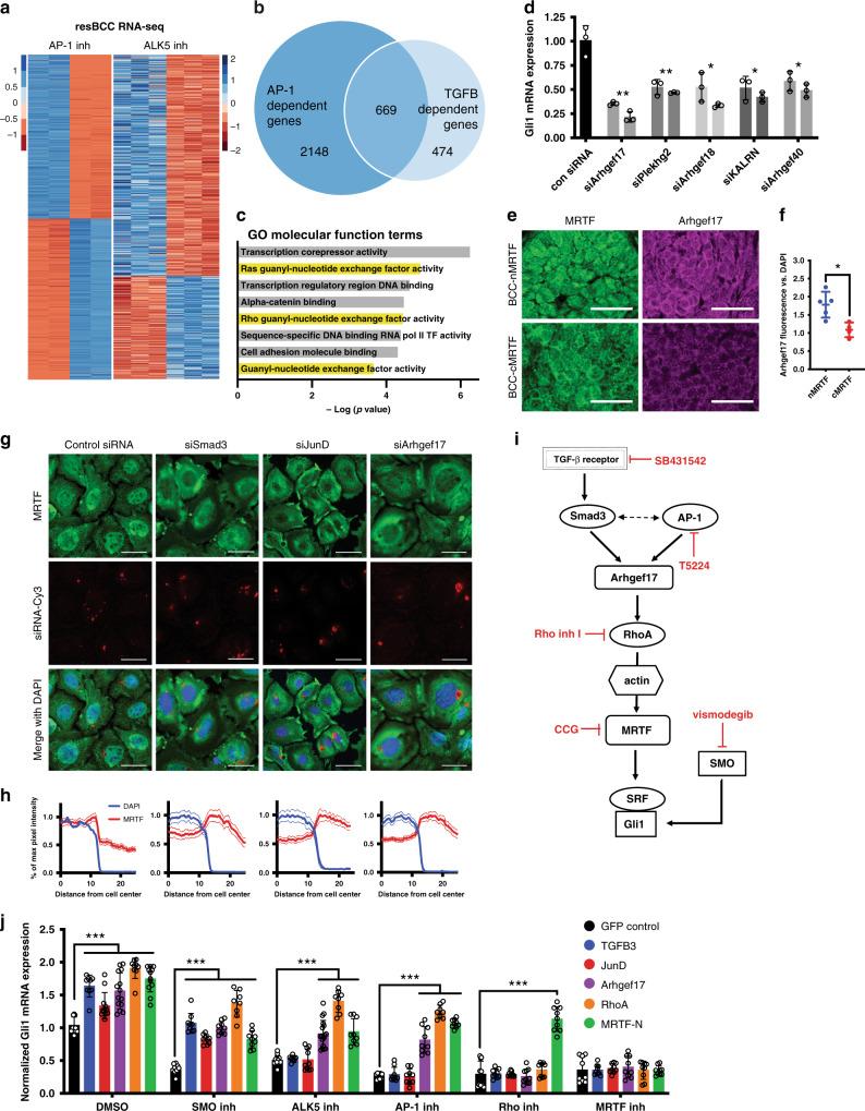 https://cdn.ncbi.nlm.nih.gov/pmc/blobs/02c2/7546632/7411acbbb476/41467_2020_18762_Fig4_HTML.jpg