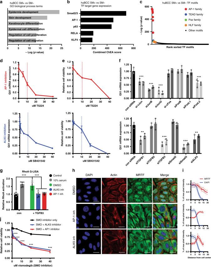 https://cdn.ncbi.nlm.nih.gov/pmc/blobs/02c2/7546632/a2f6f0737524/41467_2020_18762_Fig3_HTML.jpg