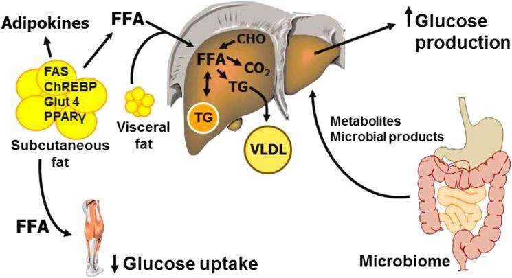 https://cdn.ncbi.nlm.nih.gov/pmc/blobs/02c3/4831905/9788c88b96bb/dc151081f2.jpg