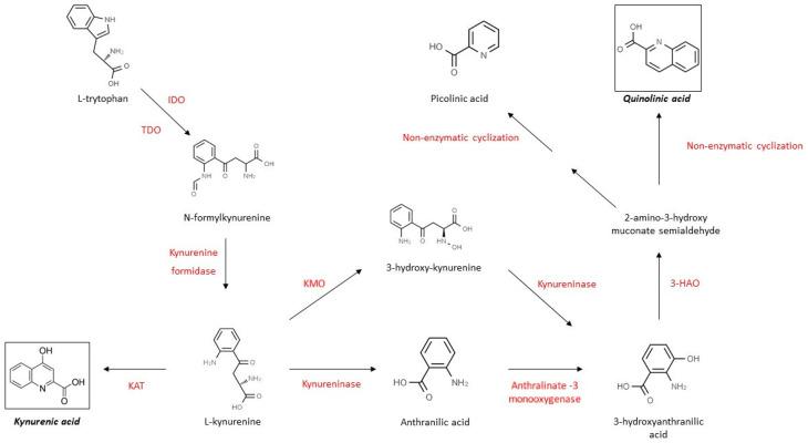 https://cdn.ncbi.nlm.nih.gov/pmc/blobs/02c4/8201043/317498716f90/molecules-26-03423-g002.jpg