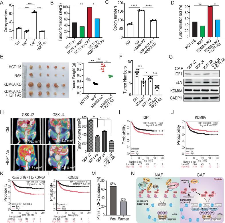 https://cdn.ncbi.nlm.nih.gov/pmc/blobs/02c8/12259948/623331023c92/41419_2025_7818_Fig5_HTML.jpg