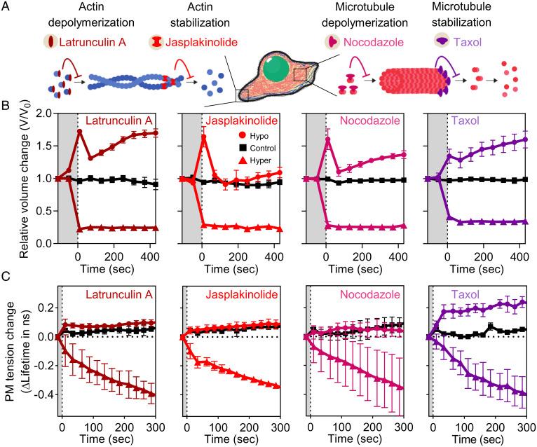 https://cdn.ncbi.nlm.nih.gov/pmc/blobs/02ca/8617515/db6e3ae2a3d8/pnas.202103228fig03.jpg