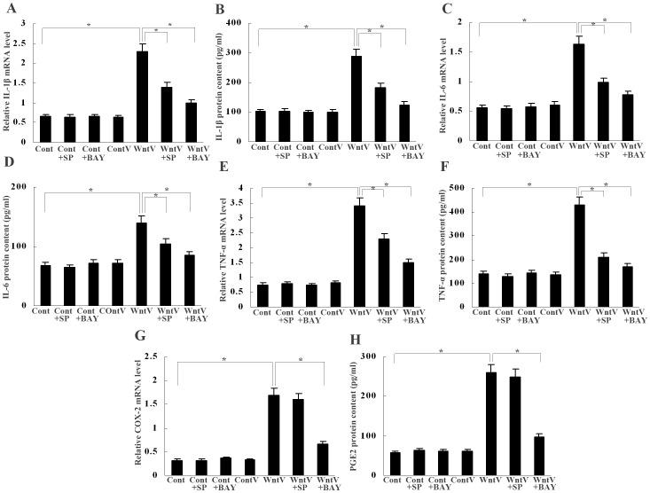 https://cdn.ncbi.nlm.nih.gov/pmc/blobs/02ce/3885681/94885c4cb597/pone.0085058.g005.jpg