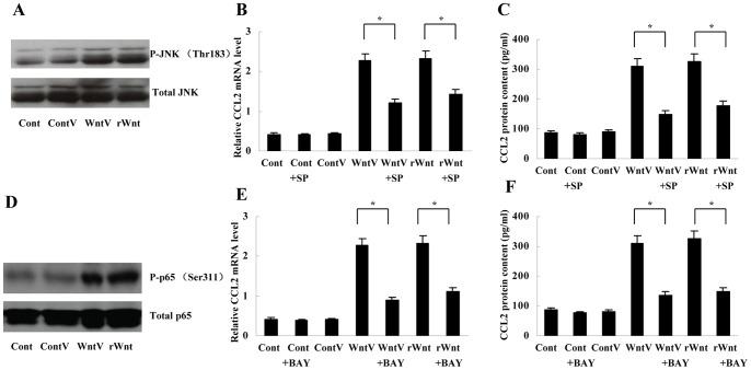 https://cdn.ncbi.nlm.nih.gov/pmc/blobs/02ce/3885681/f187a0523ce6/pone.0085058.g002.jpg
