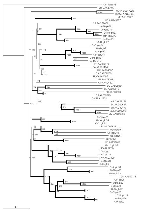 https://cdn.ncbi.nlm.nih.gov/pmc/blobs/02d5/1781453/5995e16878be/1471-2229-6-33-3.jpg