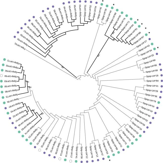 https://cdn.ncbi.nlm.nih.gov/pmc/blobs/02d5/6925233/2875783074de/41598_2019_55800_Fig2_HTML.jpg
