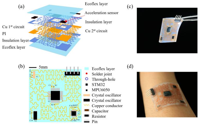 https://cdn.ncbi.nlm.nih.gov/pmc/blobs/02d7/9406085/375870b8cc47/biosensors-12-00620-g001.jpg