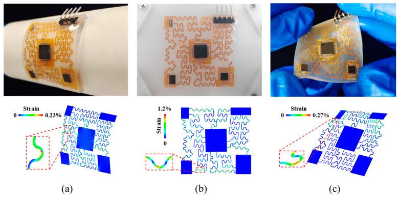 https://cdn.ncbi.nlm.nih.gov/pmc/blobs/02d7/9406085/3fb8b254cc6f/biosensors-12-00620-g002.jpg