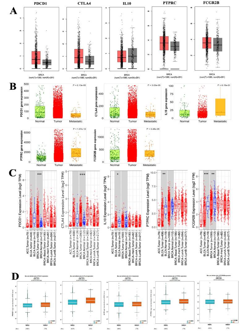https://cdn.ncbi.nlm.nih.gov/pmc/blobs/02d9/12082418/333c3185ce8e/APJCP-26-279-g002.jpg