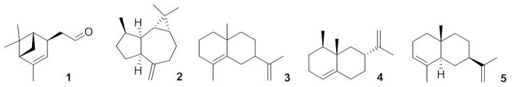 https://cdn.ncbi.nlm.nih.gov/pmc/blobs/02db/8073270/770436905c26/life-11-00363-g005.jpg