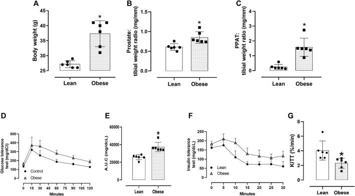 https://cdn.ncbi.nlm.nih.gov/pmc/blobs/02dc/10364323/54db272e9e7e/fphar-14-1145860-g002.jpg